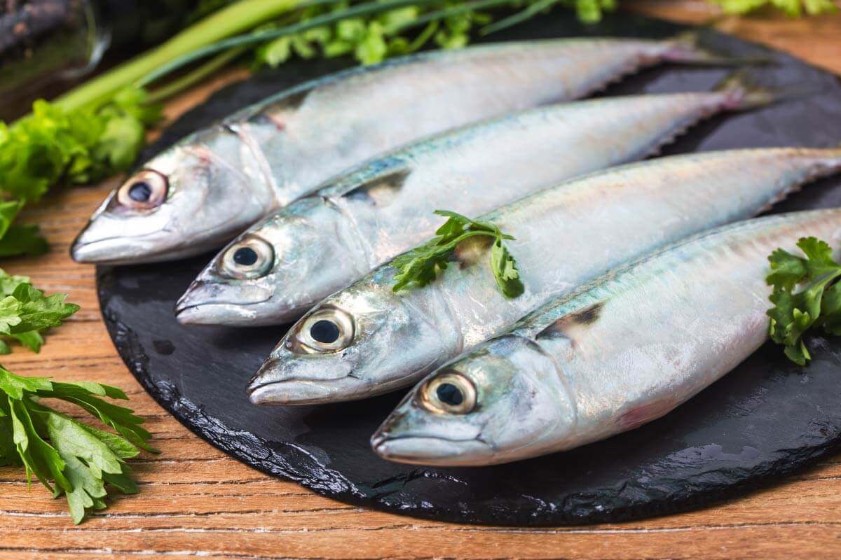 濕疹不能吃什麼特殊魚肉類